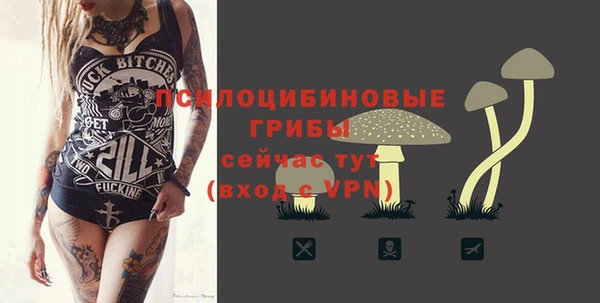 a pvp Аркадак