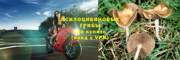 мет Арсеньев